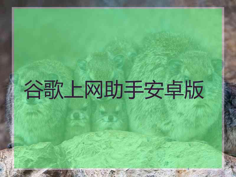谷歌上网助手安卓版