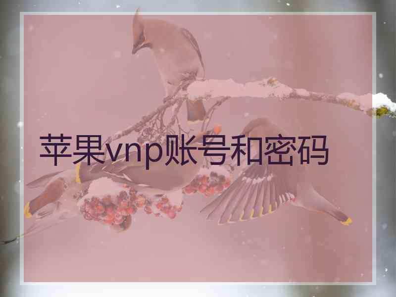 苹果vnp账号和密码