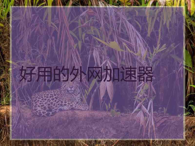 好用的外网加速器