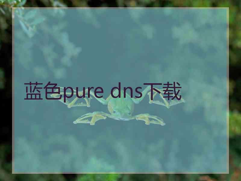蓝色pure dns下载