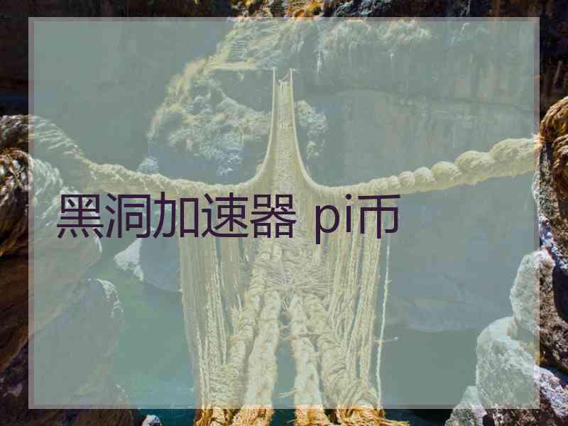 黑洞加速器 pi币