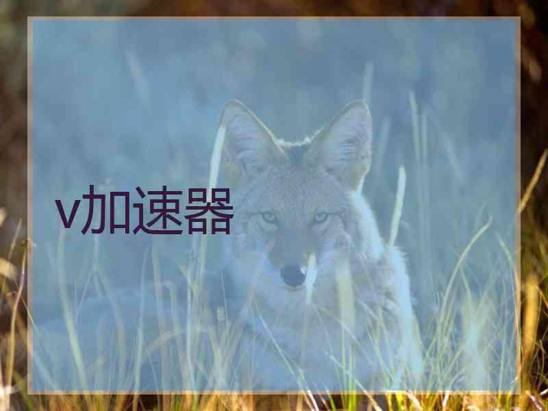 v加速器