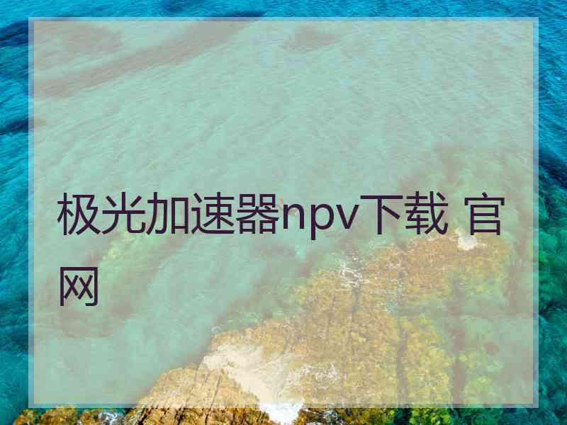 极光加速器npv下载 官网