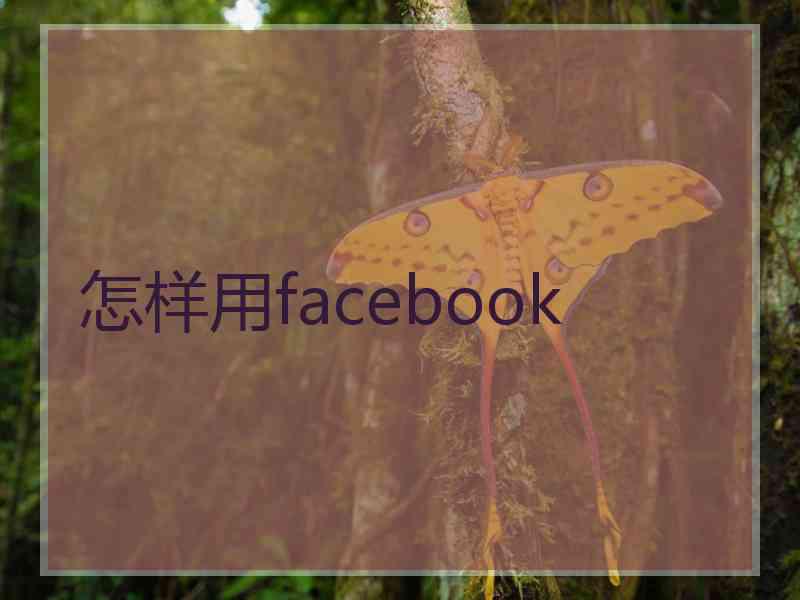 怎样用facebook