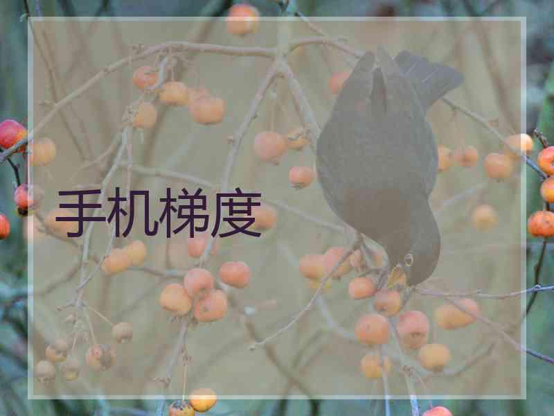手机梯度