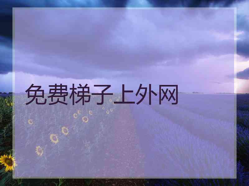 免费梯子上外网