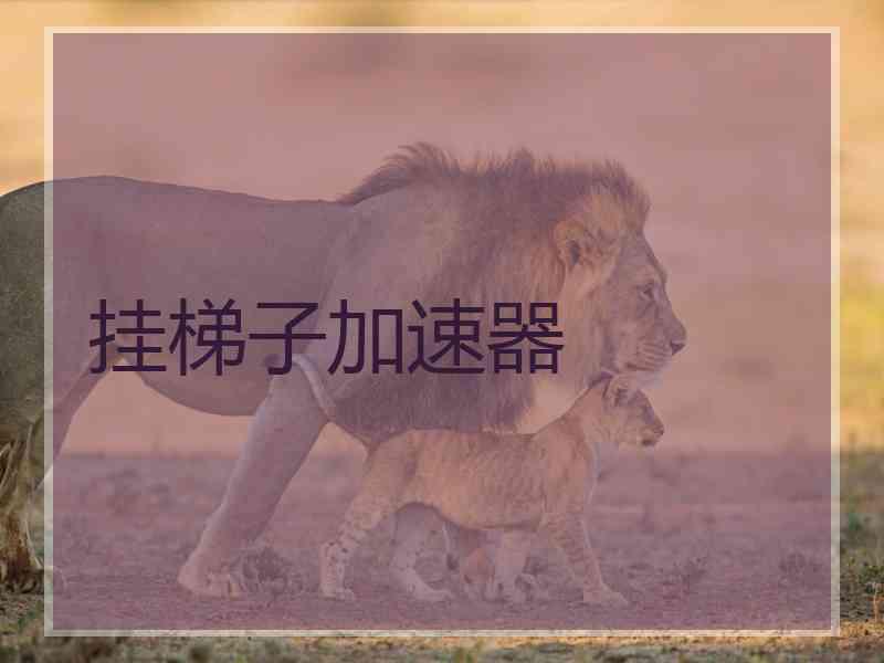挂梯子加速器