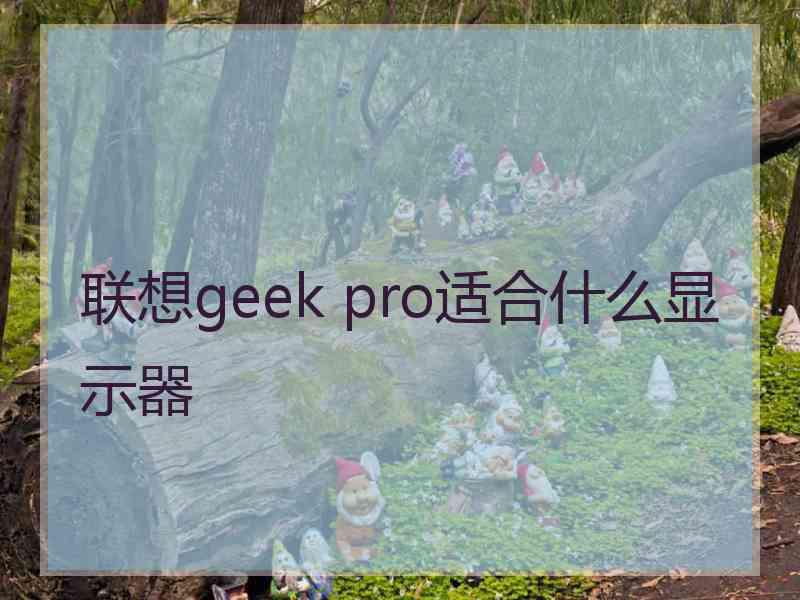 联想geek pro适合什么显示器