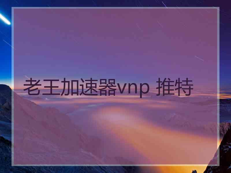 老王加速器vnp 推特