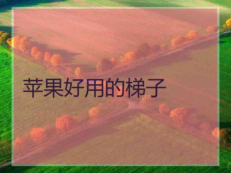 苹果好用的梯子