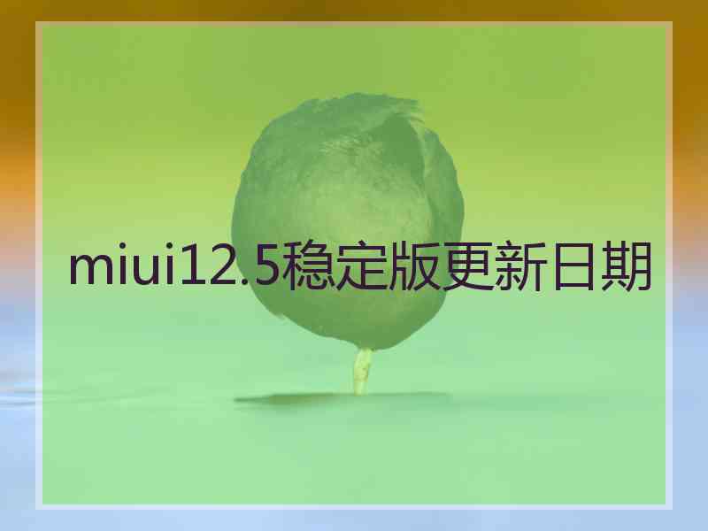 miui12.5稳定版更新日期