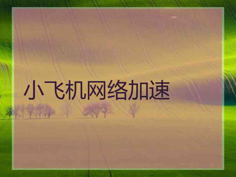 小飞机网络加速
