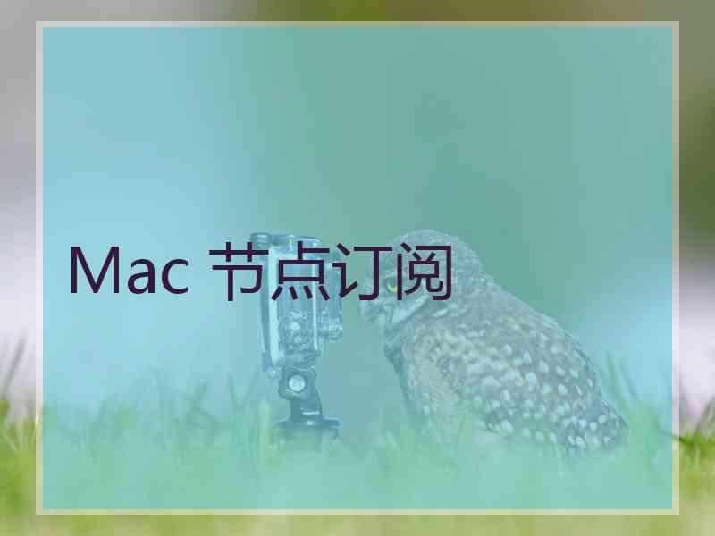 Mac 节点订阅