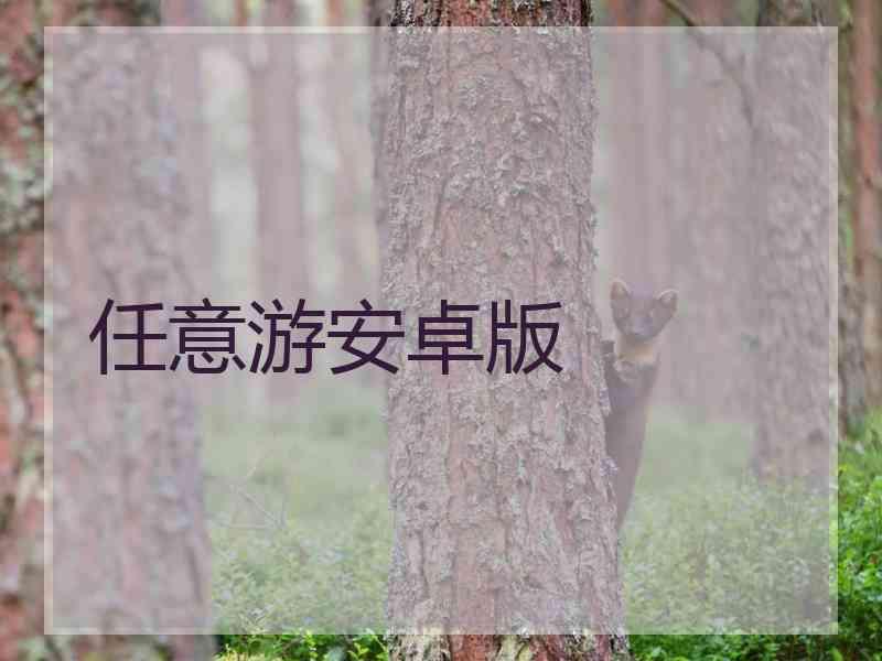 任意游安卓版
