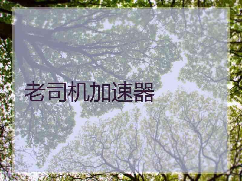 老司机加速器