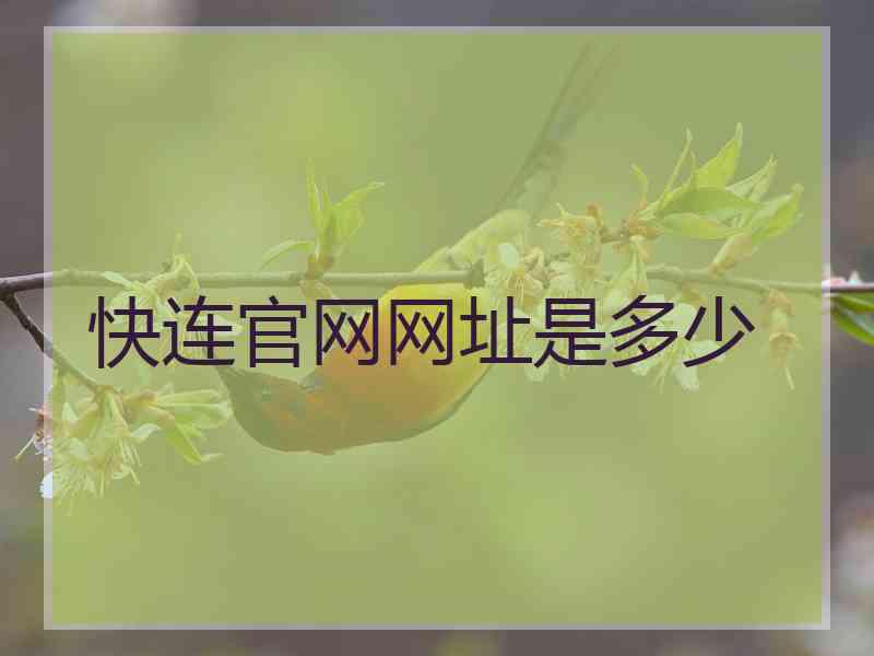 快连官网网址是多少