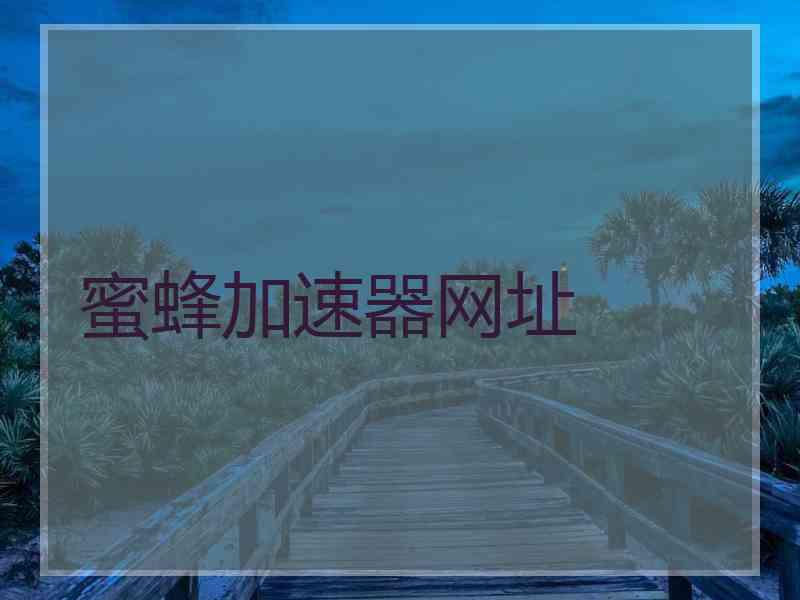 蜜蜂加速器网址