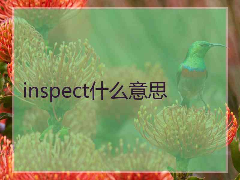inspect什么意思