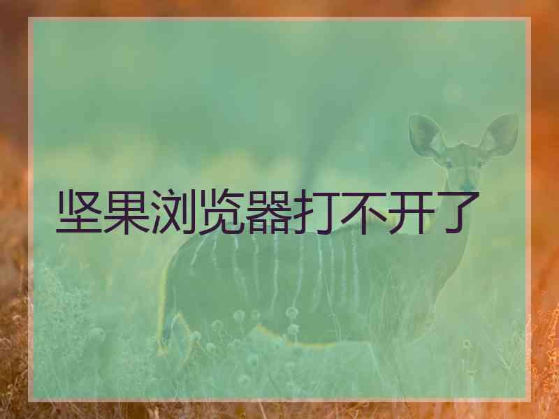 坚果浏览器打不开了