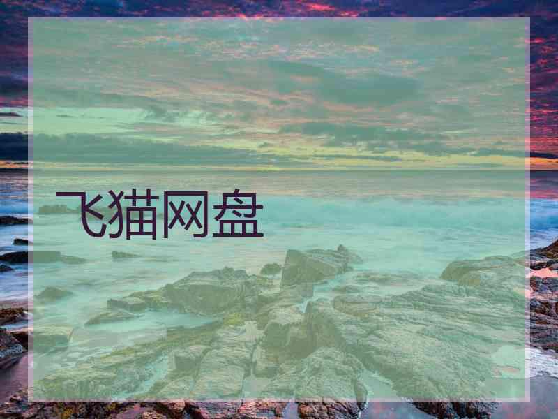 飞猫网盘