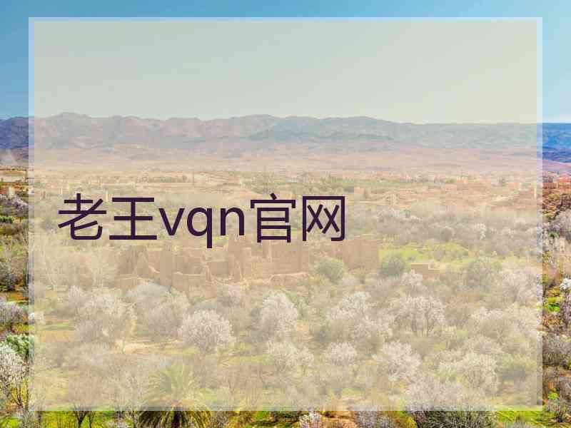 老王vqn官网