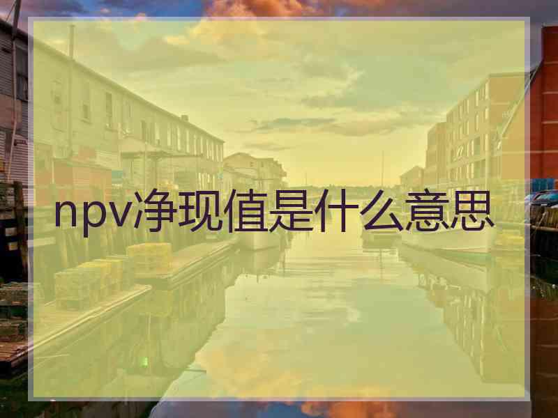 npv净现值是什么意思