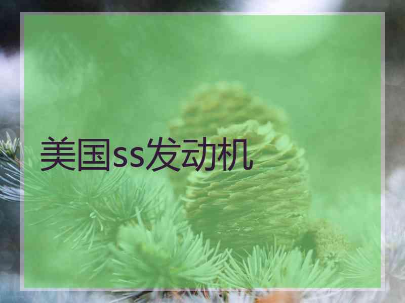 美国ss发动机