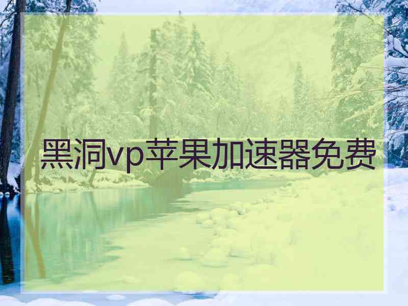 黑洞vp苹果加速器免费
