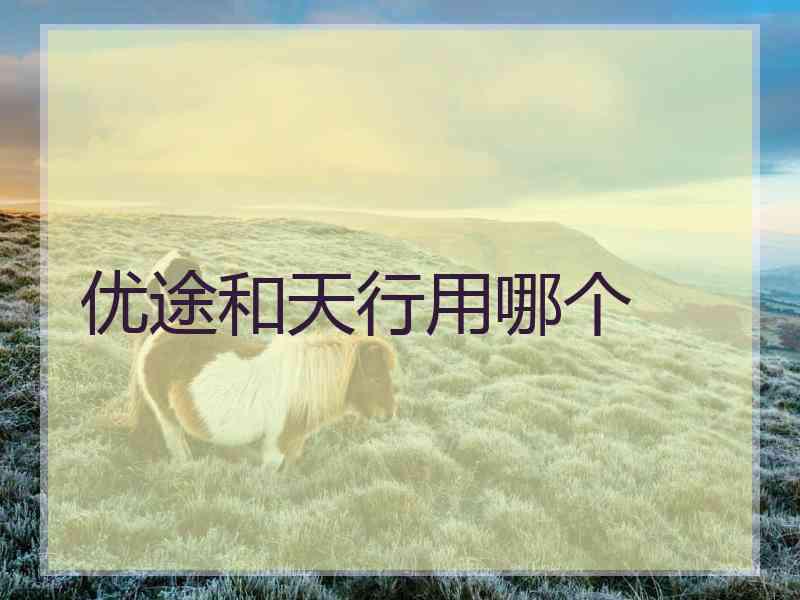 优途和天行用哪个