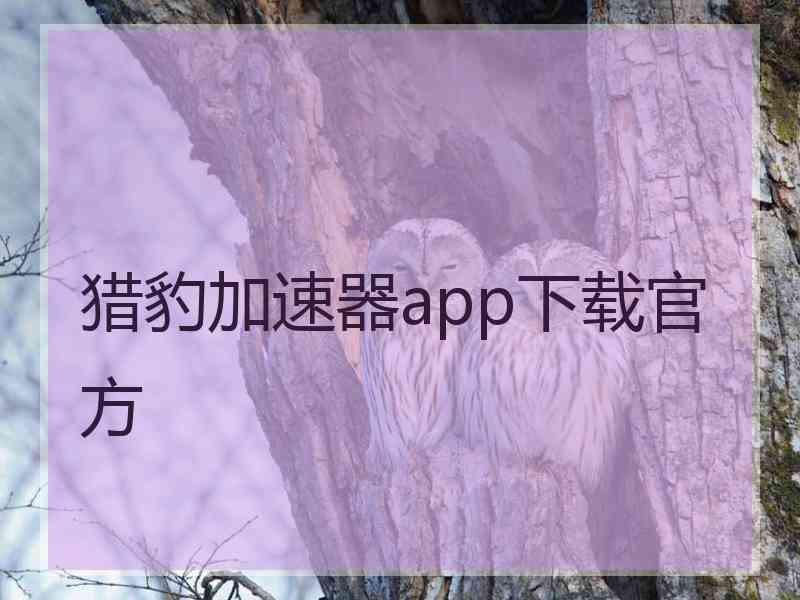 猎豹加速器app下载官方