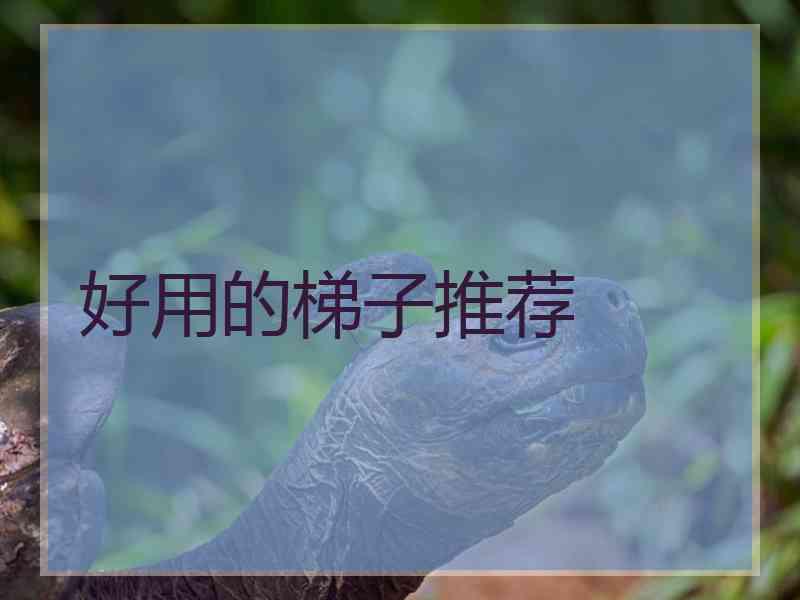 好用的梯子推荐