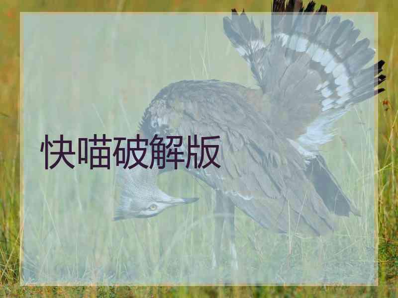 快喵破解版