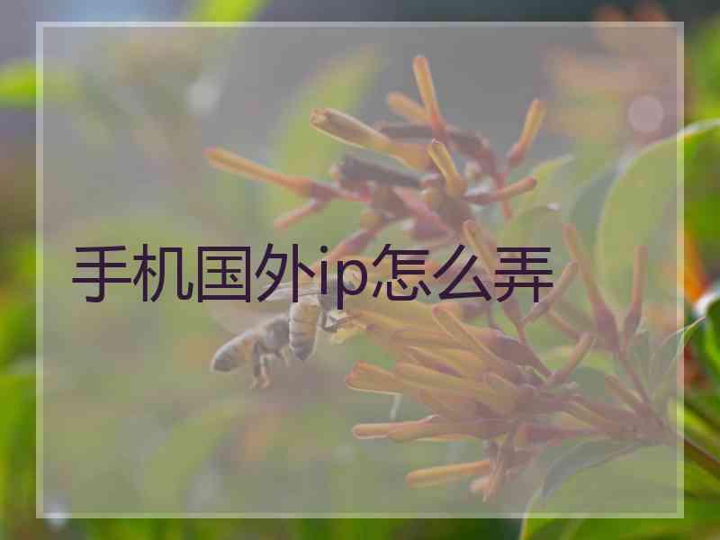 手机国外ip怎么弄
