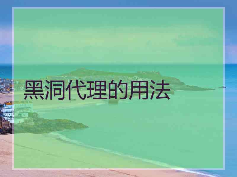 黑洞代理的用法