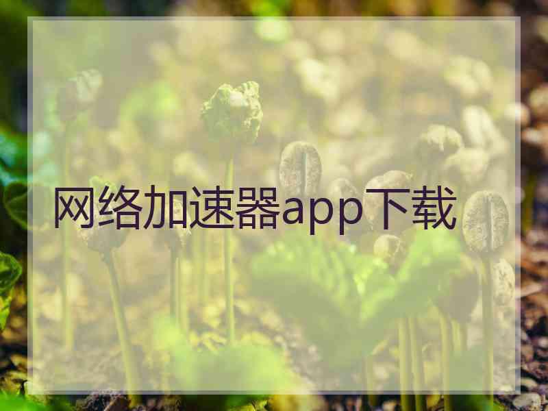 网络加速器app下载