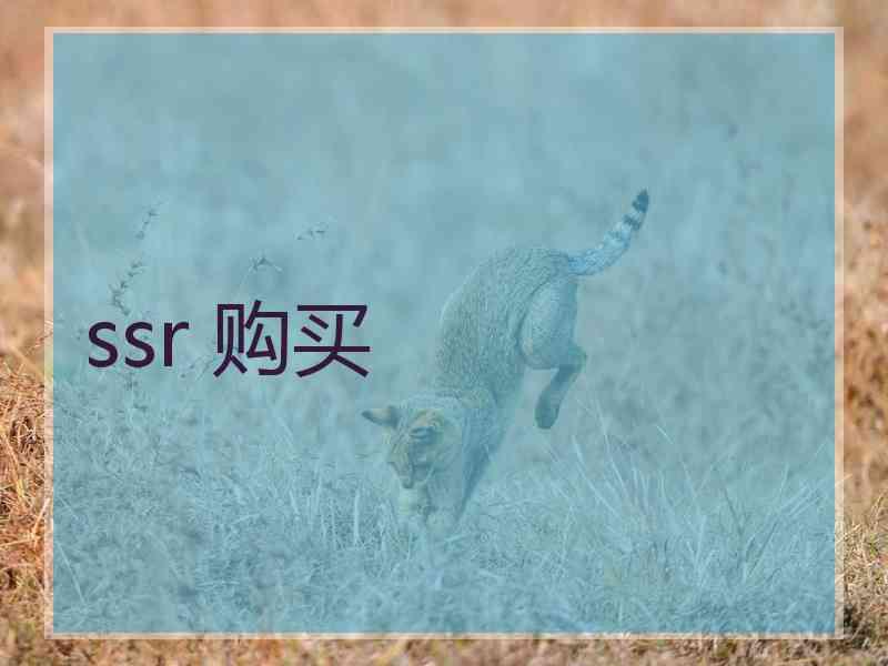 ssr 购买