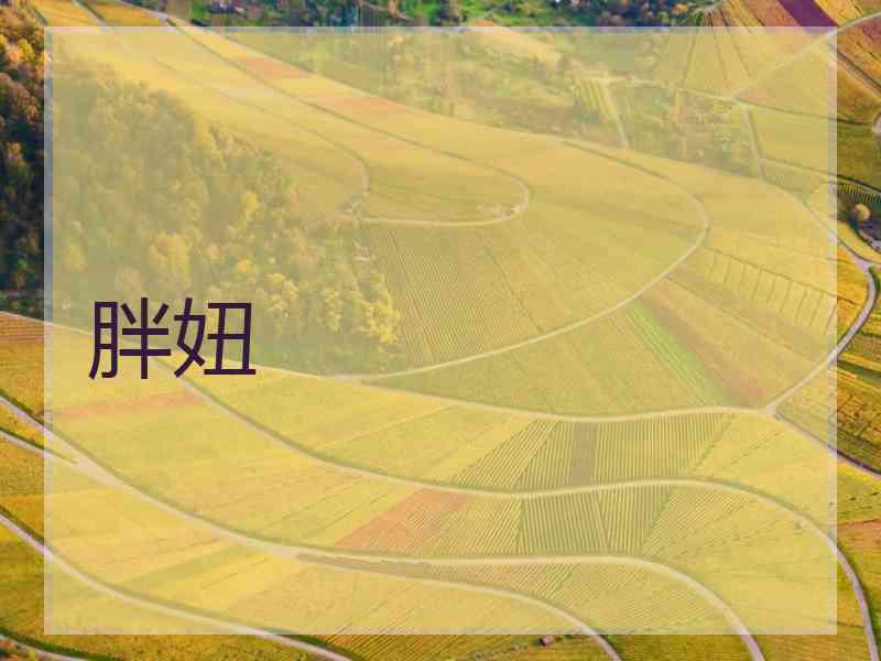 胖妞