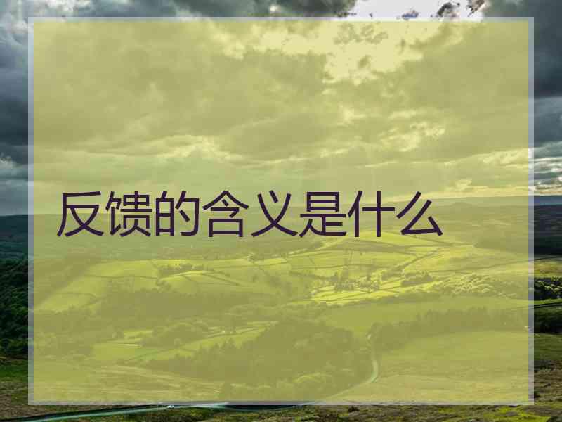 反馈的含义是什么