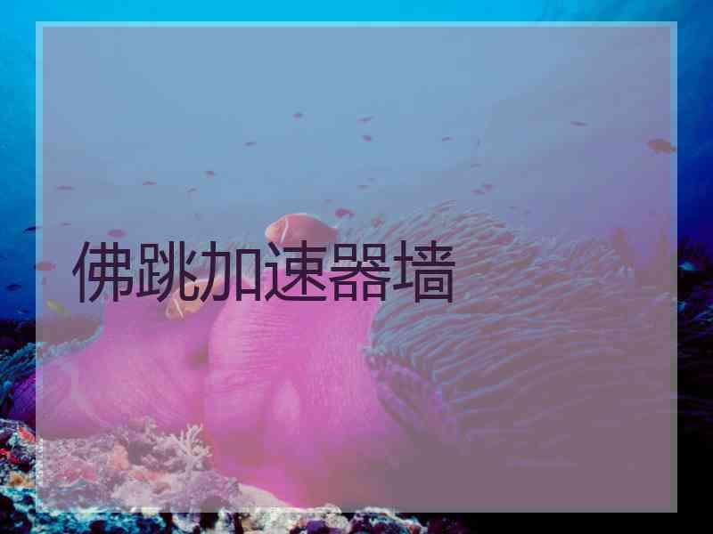 佛跳加速器墙
