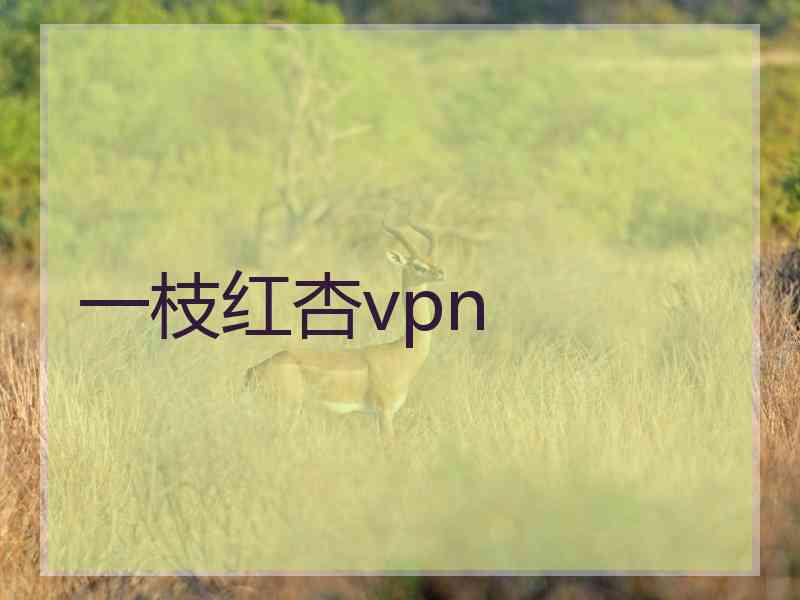 一枝红杏vpn