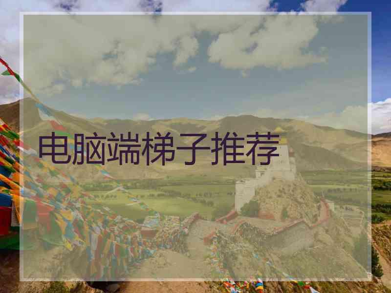 电脑端梯子推荐