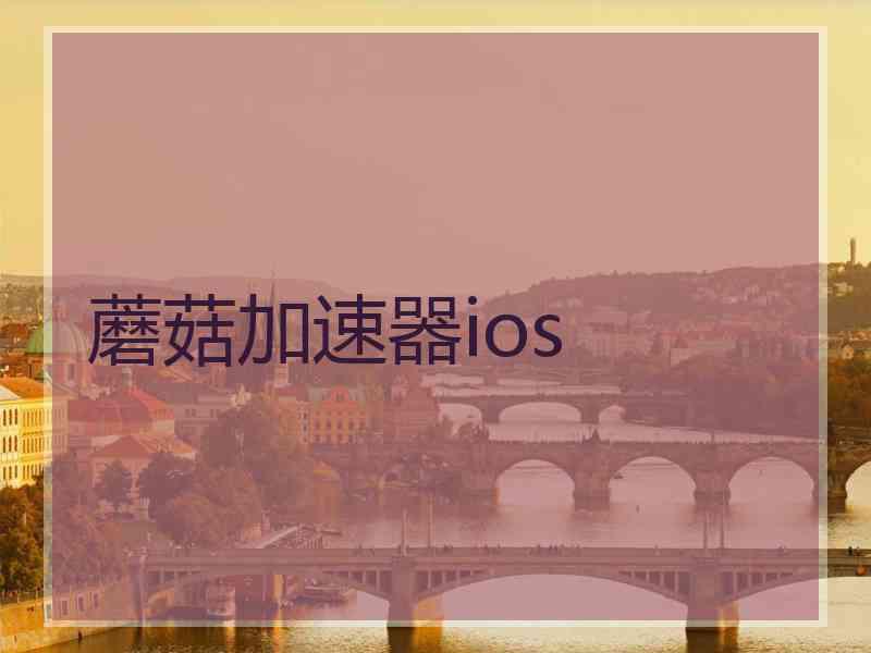 蘑菇加速器ios