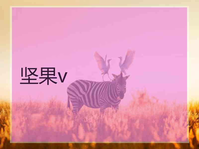 坚果v