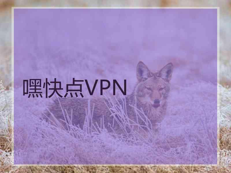 嘿快点VPN