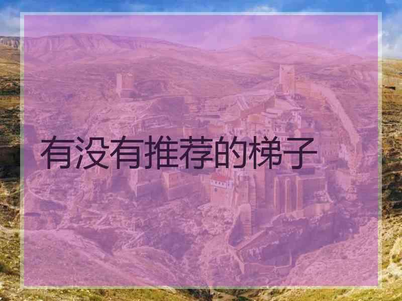 有没有推荐的梯子