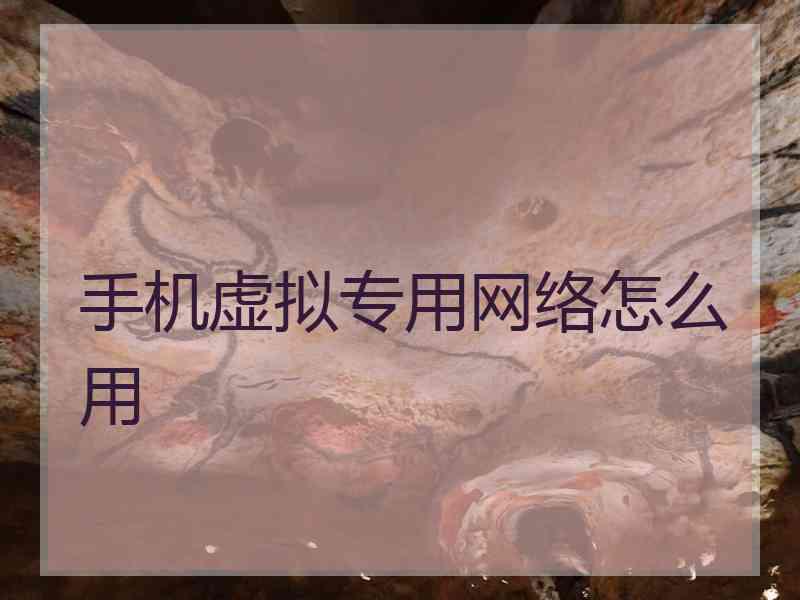手机虚拟专用网络怎么用