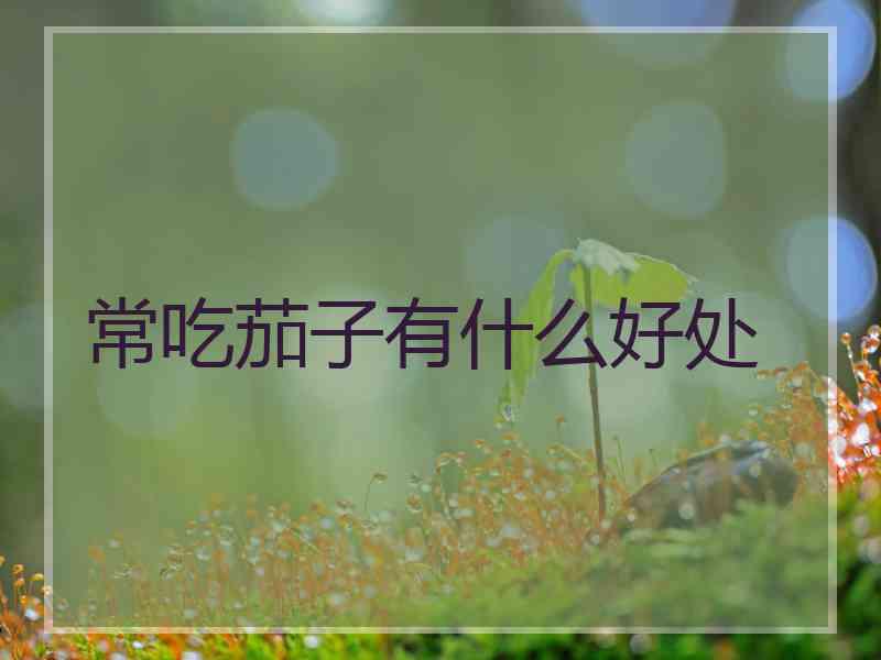 常吃茄子有什么好处