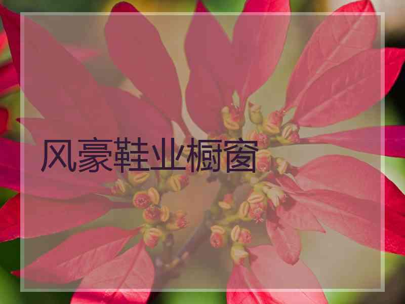 风豪鞋业橱窗
