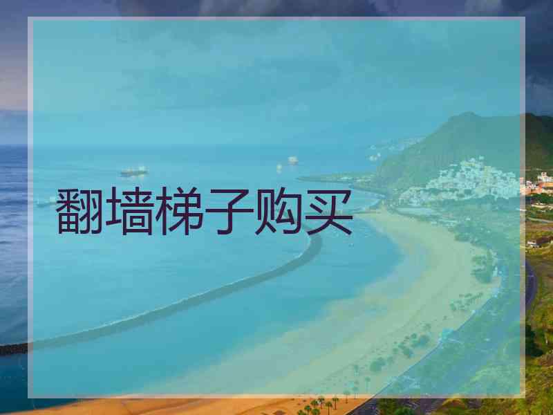 翻墙梯子购买