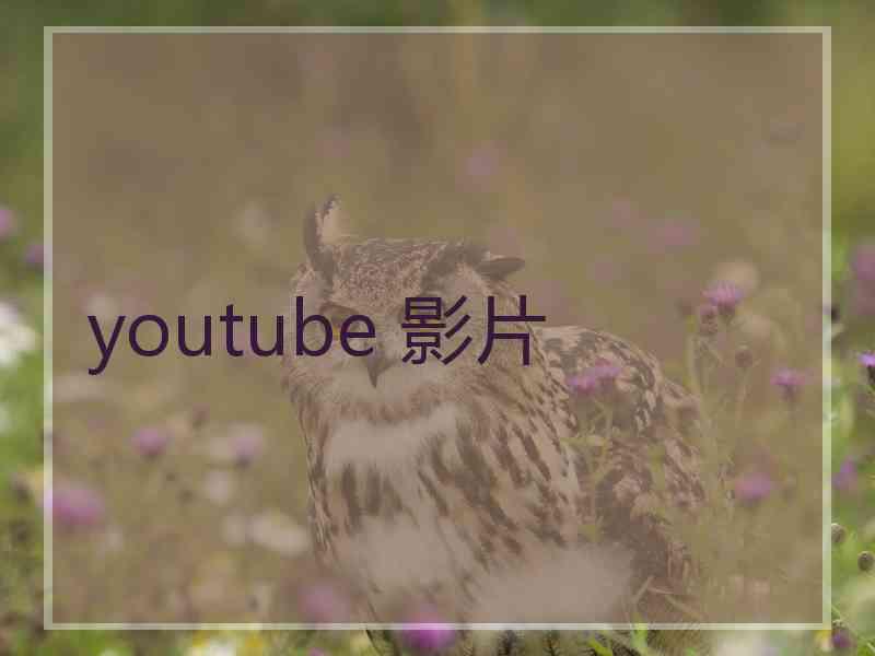 youtube 影片